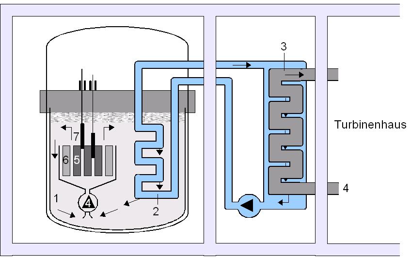 Beim schnellen Brüter wird Natrium (1) als Kühlmittel verwendet, was schnelle Neutronenbewegungen gestattet und zudem die entstehende Wärme besser abführen kann als Wasser. Natrium wird allerdings infolge des Neutronenbeschusses radioaktiv, weshalb die Wärme über mehrere Zwischenwärmetauscher (2) auf sekundäre Natriumkreisläufe und dann erst über den Dampferzeuger (3) in den Wasserkreislauf (4) übertragen wird. Der Wasserdampf treibt schließlich die Turbinen an. Der Reaktor besteht erzeugt durch Kernspaltung (5) die Hitze für den späteren Turbinenantrieb und zudem durch den Brutvorgang (6) neues spaltbares Material. Die Leistung wird mithilfe von Steuerstäben (7) geregelt. Beim schnellen Brüter wird Natrium (1) als Kühlmittel verwendet, was schnelle Neutronenbewegungen gestattet und zudem die entstehende Wärme besser abführen kann als Wasser. Natrium wird allerdings infolge des Neutronenbeschusses radioaktiv, weshalb die Wärme über mehrere Zwischenwärmetauscher (2) auf sekundäre Natriumkreisläufe und dann erst über den Dampferzeuger (3) in den Wasserkreislauf (4) übertragen wird. Der Wasserdampf treibt schließlich die Turbinen an. Der Reaktor besteht erzeugt durch Kernspaltung (5) die Hitze für den späteren Turbinenantrieb und zudem durch den Brutvorgang (6) neues spaltbares Material. Die Leistung wird mithilfe von Steuerstäben (7) geregelt.